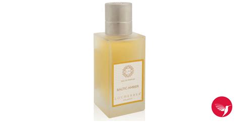 Choose your d1 milano style between our collections: Baltic Amber Locherber Milano عطر - a fragrance للرجال و ...
