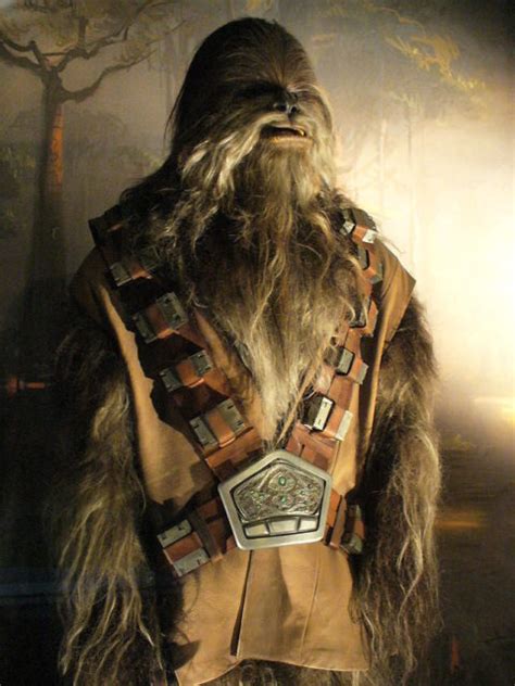 The Character Of Chewbacca Was Inspired By George Lucas Tall Hairy