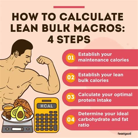 Lean Bulk Macros How To Calculate The Proper Way