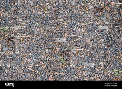 Gravel Texture Background Hi Res Stock Photography And Images Alamy