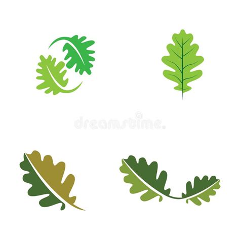 Vector Oak Leaf Logo Template Stock Vector Illustration Of