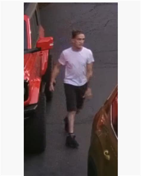 Photos Released By Police In Holmdel Car Burglaries Friday