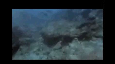 Real Mermaid Caught On Tape Youtube