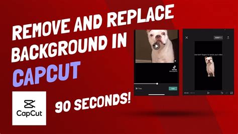 Hướng Dẫn Làm Cho Video Của Bạn Nổi Bật Hơn Với Remove Background Video Làm Sạch Nền đẹp Mắt