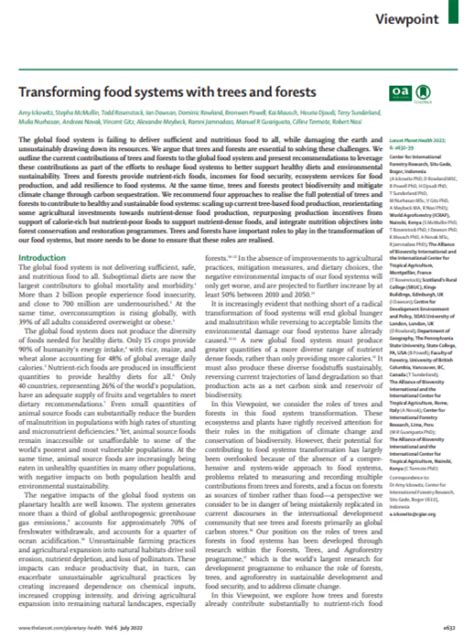 Transforming Food Systems With Trees And Forests Cgiar