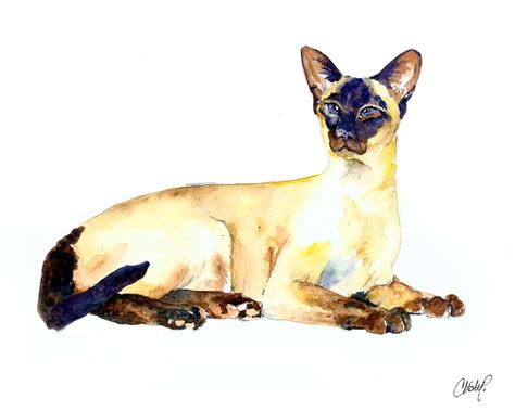 Seal Point Siamese Cat Old Painting By Christy Freeman Stark