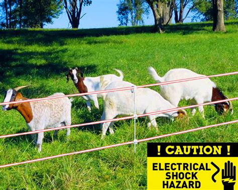 The Ultimate Guide To Import Electric Fence From China Elife