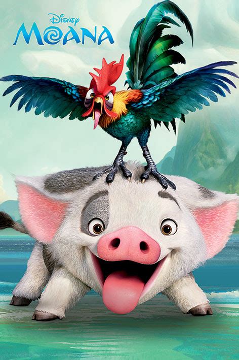 Moana Pua And Heihei Plakat Poster Online På Europosters