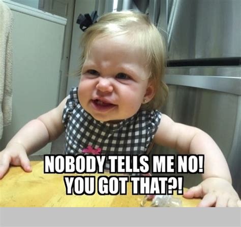 40 Hilarious Angry Baby Memes For 2024 Child Insider