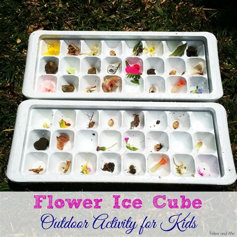 Flower Ice Cubes Outdoor Activities For Kids Finlee And Me