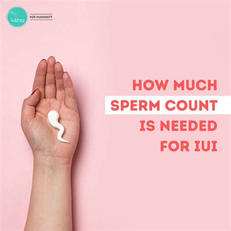 How Much Sperm Count Is Needed For Iui Treatment How Much Flickr