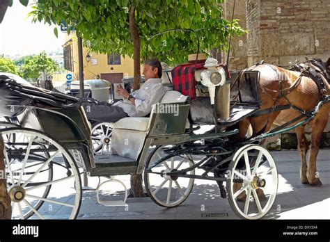 Cordoba Andalucia Spain Horse Drawn Carriage Driver Waiting For