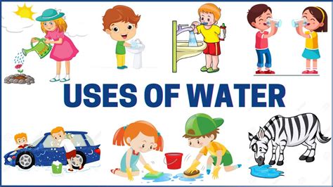 Uses Of Water For Kids Pictures