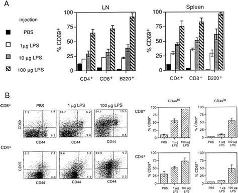 Expression Of Cd69 On T And B Cells After Lps Injection A Cd69