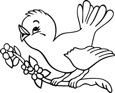 The article features different types of birds with their distinctive characteristics. Twitter Little Birds Coloring Pages | Bird coloring pages, Coloring pages, Bird drawings