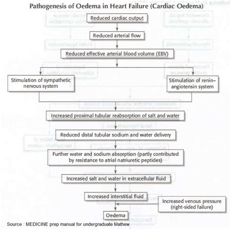 Pathogenesis Of Edema In Heart Failure Cardiac Edema Edema GrepMed