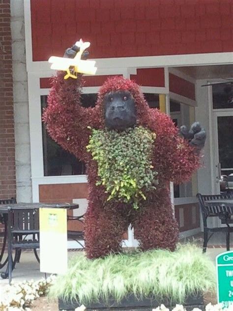 Sumter / ˈ s ʌ m t ər / is a city in and the county seat of sumter county, south carolina, united states. "KING KONG"- TOPIARY GREENWOOD SC "HOME OF THE SC FESTIVAL ...
