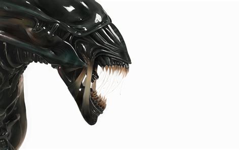 Wallpaper Xenomorph Alien Movie Aliens Aliens Movie Footwear