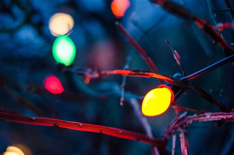 The twinkling glow of white or colored christmas lights gives guests a lovely warm welcome and will instantly put even the grumpiest guest into the holiday spirit. white or colored lights? - It All Started With Paint