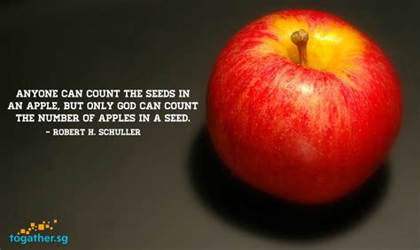 Only God Knows The Number Of Apples In A Seed Inspirational Quotes