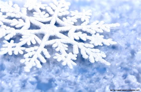 Winter Snowflakes Real Amazing Wallpapers