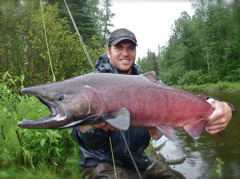 Kings On The Fly Fishing For Alaskas Most Sought After Salmon