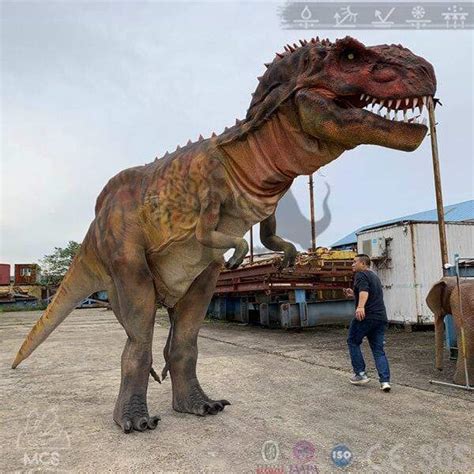 Realistic Giant Alpha T Rex Costume Dctr648