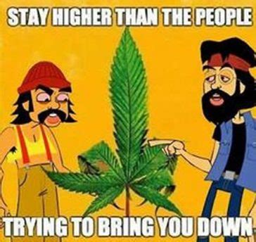 100 best sayings about chong chong quotes jar of quotes save image. Classic Stoner Weed Memes & Marijuana Quotes. All Weed Memes