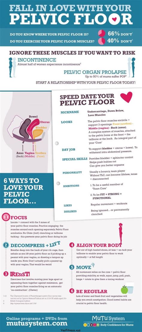 Pelvic Floor Exercises Infographic Everything You Need To Know About