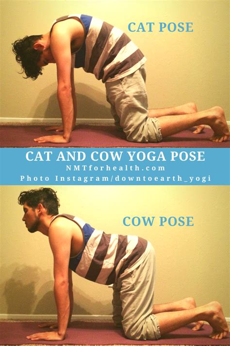 Start Improving Posture And Circulation At Home With Cat Cow Pose