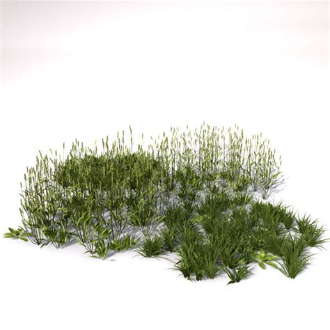 3d Grass Natural Model Photoshop Landscape Landscape Architecture