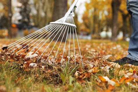 Best Way To Rake Leaves 12 Tips