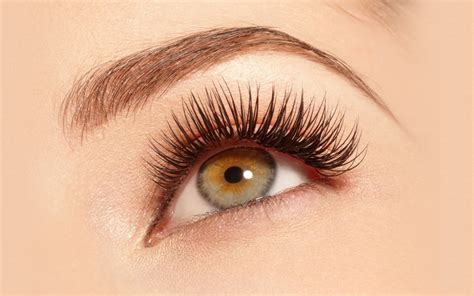 Op · 2m 15 m. How Long Do My Eyelashes Take to Grow Back? - Generic Villa