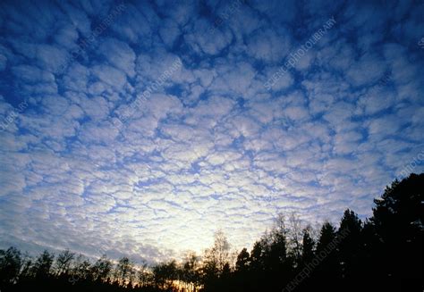 Mackerel Sky Altocumulus Clouds Stock Image E1200324 Science