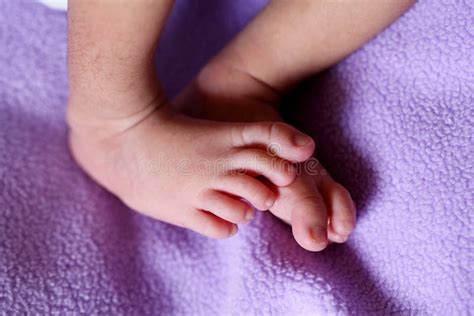 277 Newborn Feet Close Up Hospital Stock Photos Free And Royalty Free
