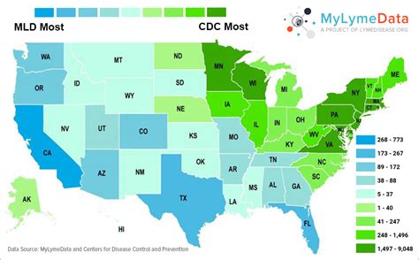 How Much Does The Cdc Undercount Lyme Cases It Depends On Where You Live
