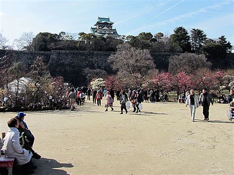 The park is one of osaka's most popular hanami spots during the cherry blossom season, which usually takes place in early april. Osaka Castle Park Travel Tips - Japan Travel Guide ...