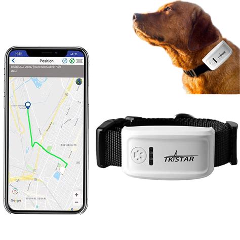 Can You Get A Gps Tracker For Your Dog