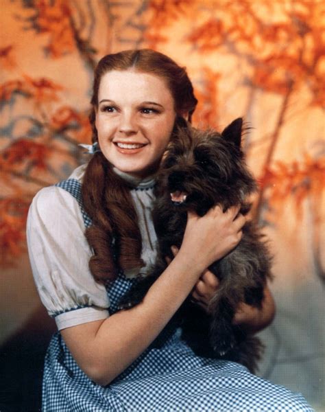 The Wizard Of Oz Photograph With Judy Garland As Dorothy Gale Souvenirs And Events Memorabilia
