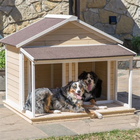 34 Doggone Good Backyard Dog House Ideas