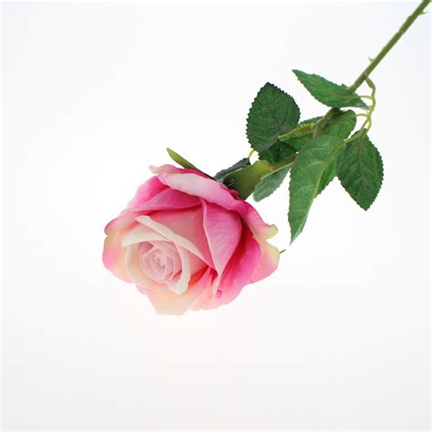 Because these beauties do not need water, you don't have to bother about floral foam, water tubes, dirt, or whatever. Silk Roses Wholesale