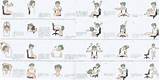 Exercises For Senior Citizens In A Chair Images