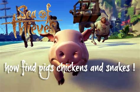 Sea Of Thieves How Find Chickens Pigs And Snakes Kill The Game