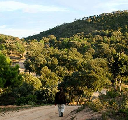 Massif des maures quoi visiter. Visiter les massifs de l'Estérel | Estérel Côte d'Azur