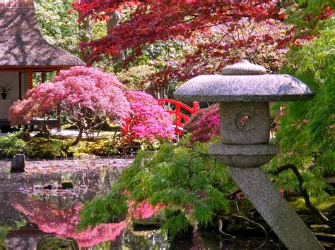 Japanese Zen Garden Japanese Garden The Hague