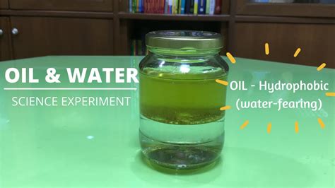 Why Oil And Water Dont Mix Oil And Water Experiment Explained How