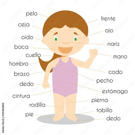 Cuerpo Humano Niña Ipuzzle Foto Puzzle