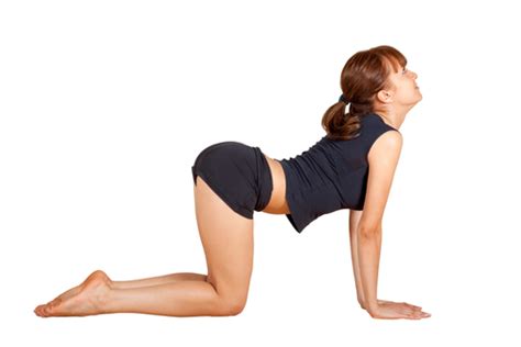 Prenatal Yoga Catcow Stretches