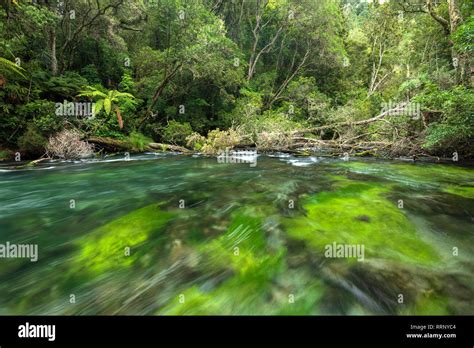 Oceania New Zealand Aotearoa North Island Kawerau Tarawera River