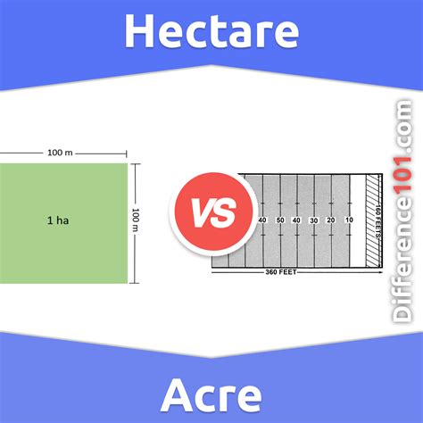 Hectare Vs Acre 6 Key Differences Pros And Cons Similarities